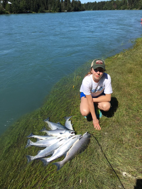 Sockeye salmon bank fishing