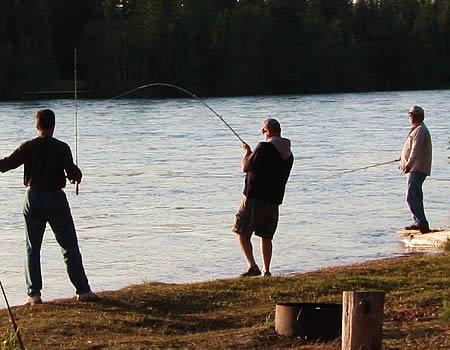 sockeye salmon bank fishing