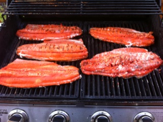 grilled sockeye salmon