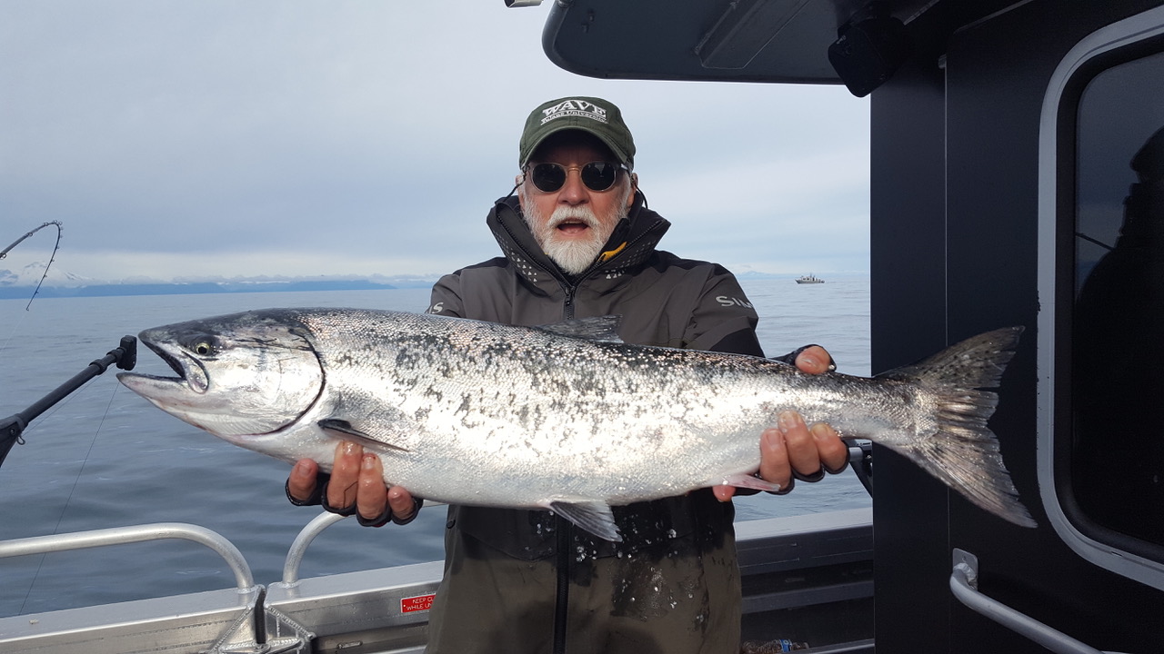 saltwater salmon charter