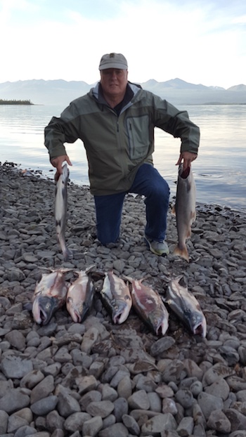 Sockeye salmon fishing