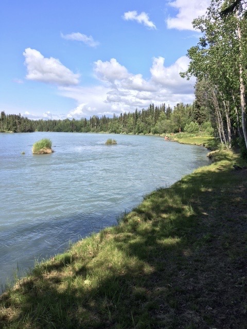 Kenai River bank fishing